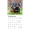 Dachshunds | 2026 7 x 14 Inch (Hanging) Monthly Mini Wall Calendar